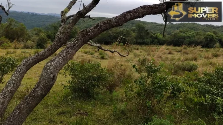 Imagem Fazenda para Venda em Centro Canguçu-RS - 2055