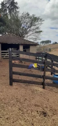 Imagem Fazenda à Venda, 246 m² em Algodão - Pouso Alegre
