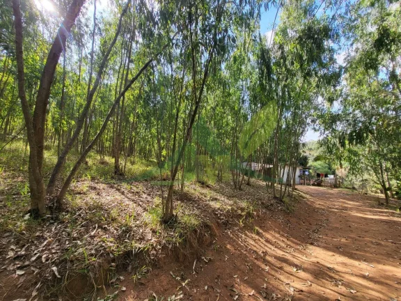 Imagem Sítio à beira da represa em Piracaia: Um refúgio de tranquilidade e beleza