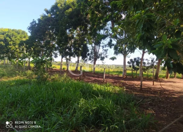 Imagem Excelente Chácara, 15.5 Ha, formada,