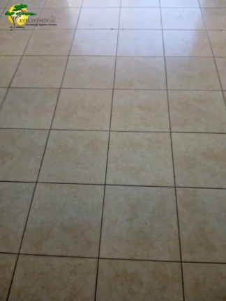 Imagem SALÃO C/ 45M² E 1 WC NO LAUZANE PAULISTA