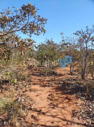 Imagem Fazenda à venda na Área Rural de Rio Verde-GO