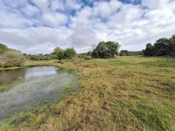 Imagem Sítio à venda, com 1 hectare, açude, no Passo da Areia - Viamão/RS