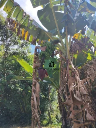 Imagem Chácara com 3 dormitórios à venda, 750 m² por R$ 650.000,00 - Ipanema do Meio - Sorocaba/SP