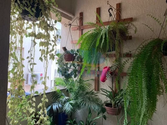 Apartamento - Ribeirão Preto - Jardim Zara - Região Leste