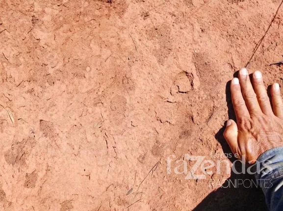 Imagem Fazenda à Venda, 17.000 m² em Zona Rural - Alto Parnaíba