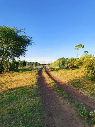 Imagem Fazenda de com 20 hectares produzindo e com Infraestrutura, CASA NOVA - BA