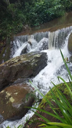 Imagem Maravilhosa propriedade a venda em Lumiar - Nova Friburgo rj.