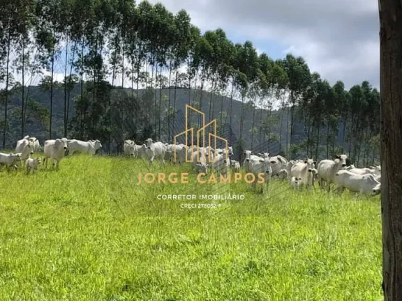 Imagem FA-24135 - FAZENDA À VENDA EM GUARATINGUETÁ/SP
