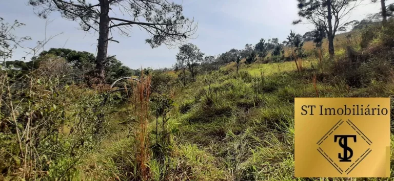 Imagem Sítio Atibaia Com 72.000 m² Bem Localizado