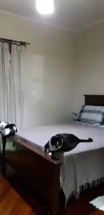 Imagem Apartamento para Venda em Santo André / SP no bairro Campestre Imagem Apartamento para Venda em Santo André / SP no bairro Campestre