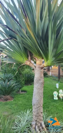 Imagem SITIO E CASA CONDOMINIO ESTANCIAS DA MATA LAGOA SANTA/JABOTICATUBAS MG