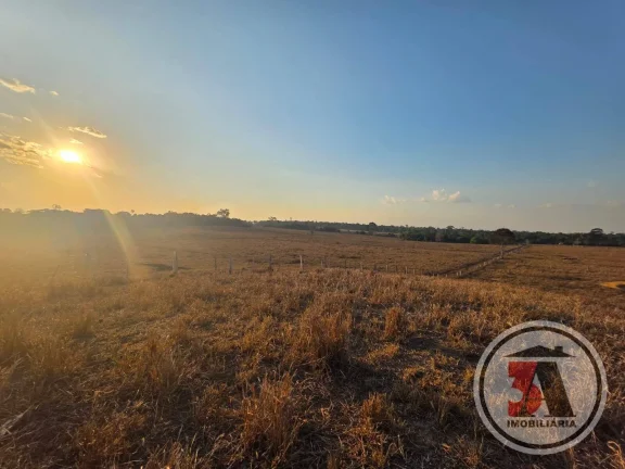 Imagem Terra de Patrão c/ 412 hectares à 27 km de Porto Velho