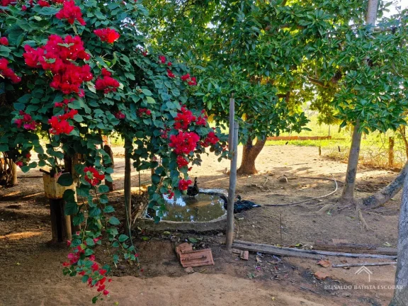 Imagem Chácara 7,8 hectares em Rochedo-MS
