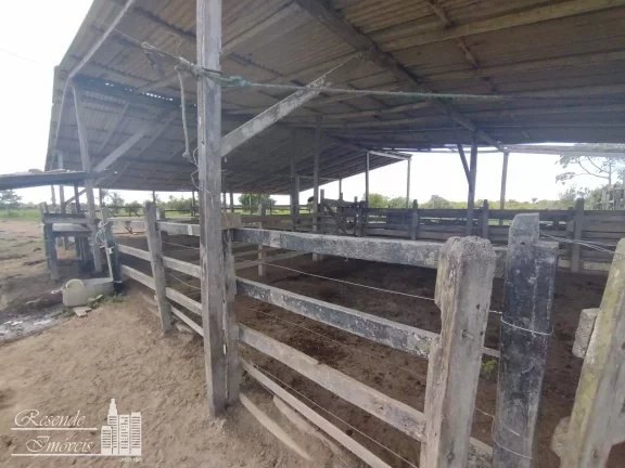 Imagem FAZENDA A VENDA NO RURAL MARGEM DO RIO CAMARÁ