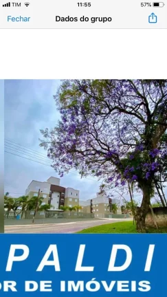 Imagem apartamento 3 dormitorios a venda em criciuma Minha Casa Minha Vida