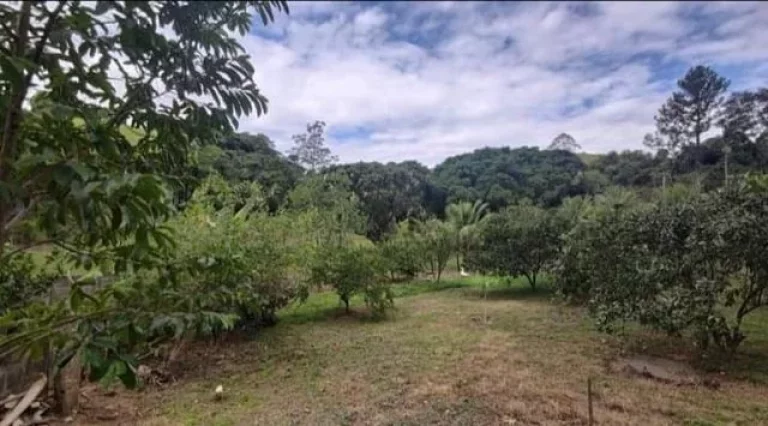 Imagem Fazenda em Macaé - RJ, Área rural