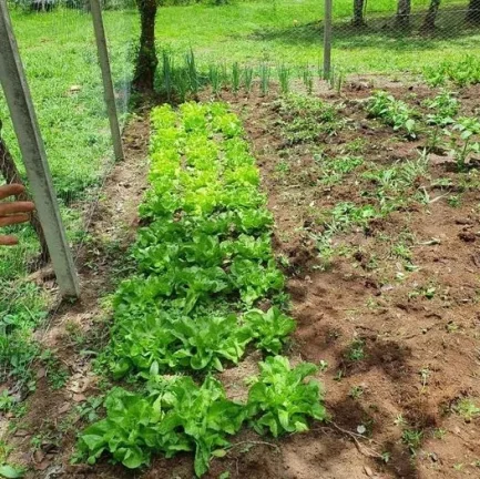 Imagem CHACARA RESIDENCIAL em TIJUCAS DO SUL - PR, Tijucas do Sul