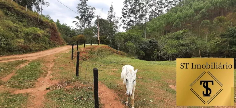 Imagem Sítio 37.000 m² com Lago e Cocheira Fácil Acesso Piracaia