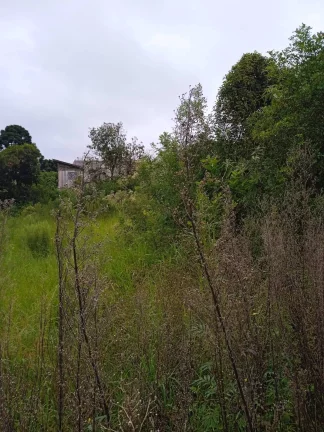Imagem Área no Campo do Santana - Ideal para Construção de Casas - R$2100000,00