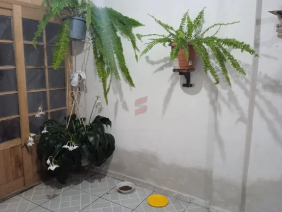 Imagem SOBRADO com 7 dormitórios à venda com 629m² por R$ 650.000,00 no bairro Borda do Campo - SÃO JOSÉ DOS PINHAIS / PR