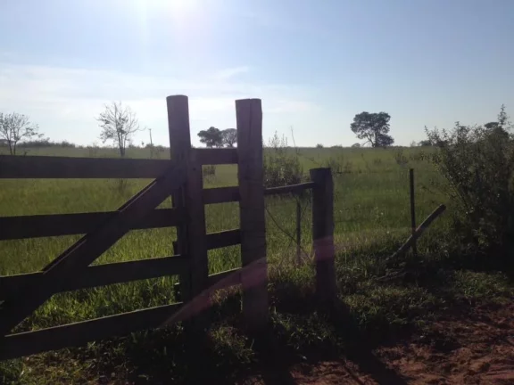 Imagem Sítio - Vende Promissão ( prox. Marília) e Região/SP