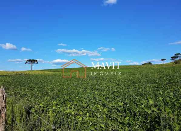 Imagem SITIO RURAL em CAPÃO ALTO - SC, Capão Alto