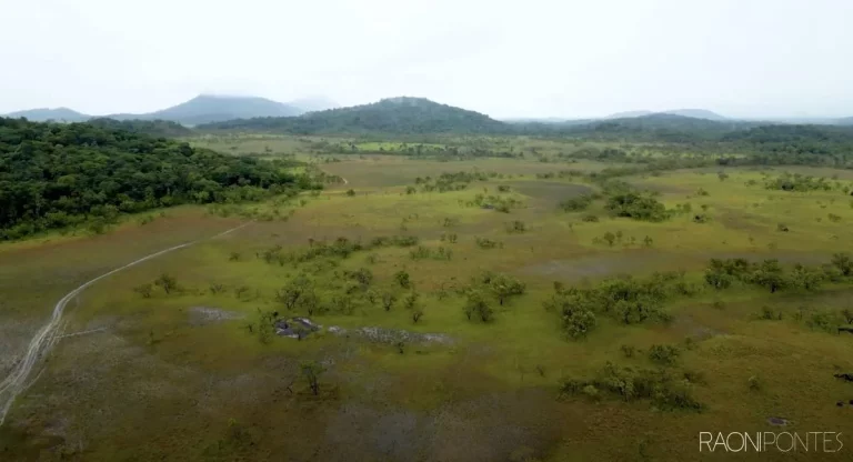 Imagem Fazenda à Venda, 5.800 m² em Zona Rural