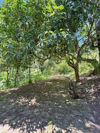 Imagem Sítio à Venda em Atibaia – 800m da Fernão Dias, 70 km de São Paulo