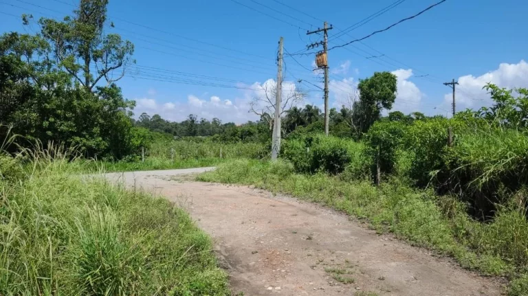 Imagem Área à venda, 15000 m² por R$ 4.530.000,00 - Caxangá - Suzano/SP
