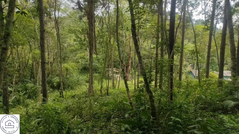 Imagem Terreno em Sao Paulo / Parelheiros / Bairro Embura / Travessa estrada marsilac.