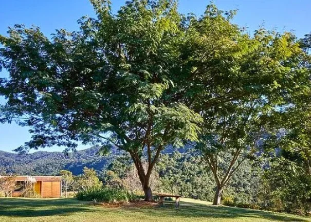 Imagem Sítio Mirante do Juncal: Arquitetura Consciente e Imersão na Natureza