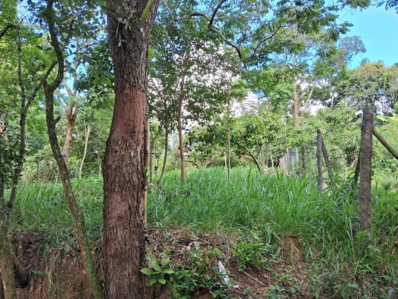 Imagem EXCELENTE LOTE NO SAMAMBAIA 2, EM JUATUBA!