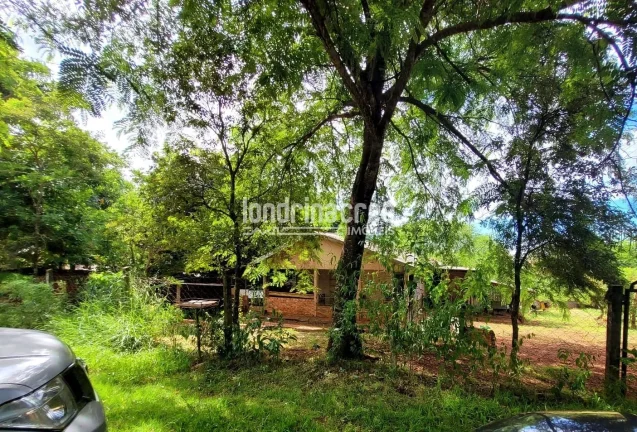 Imagem Chácara à venda 2 Quartos, 5600M², Dom Pedro I, Londrina - PR