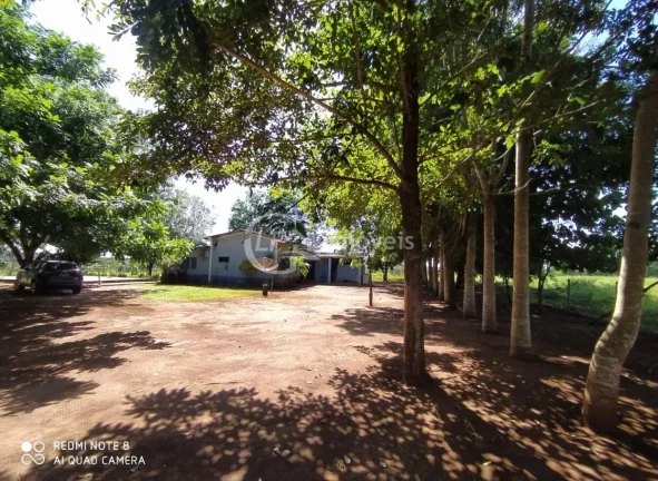 Imagem Excelente Chácara, 15.5 Ha, formada,