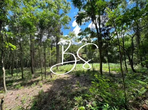 Imagem SITIO RURAL em TRÊS COROAS - RS, RS020