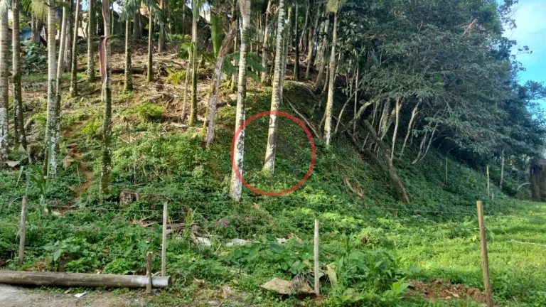 Imagem Terreno 411.38 mt