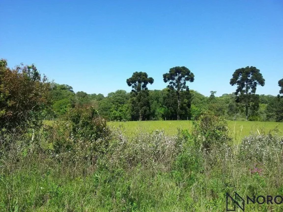 Imagem Chácara ou terreno frente BR 158 Itaára 2,34ha