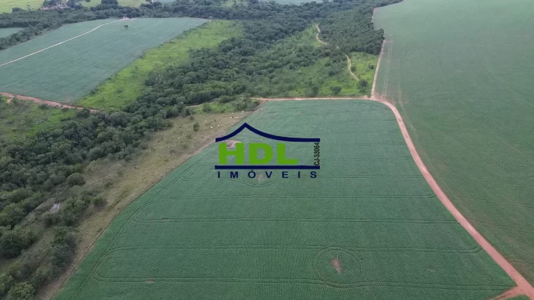 Imagem Fazenda 70 Alqs Dupla Aptidão plantada em Soja em Bela Vista GO