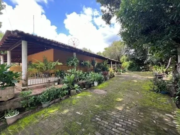 Imagem Sítio para Venda em Teresina, Verde Lar, 5 dormitórios, 4 suítes, 6 banheiros, 6 vagas