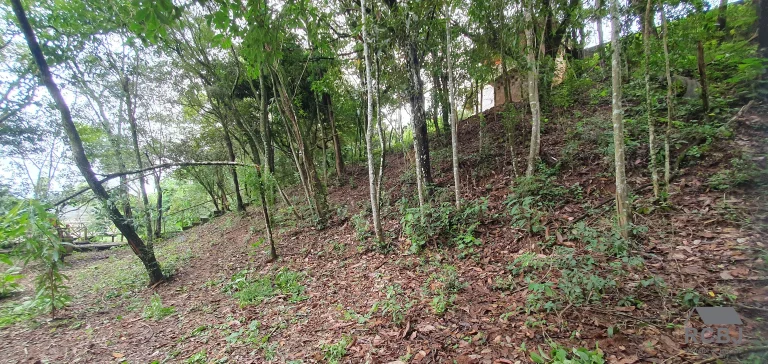 Imagem SITIO COMERCIAL em ESMERALDAS - MG, TURMALINAS