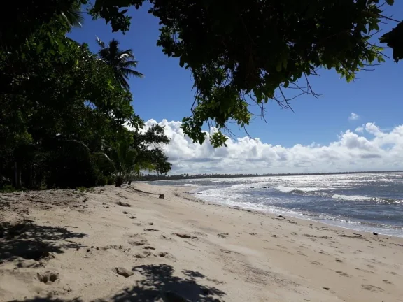 Imagem Oportunidade única: Área de Terra em Velha Boipeba, Cairu - confira!