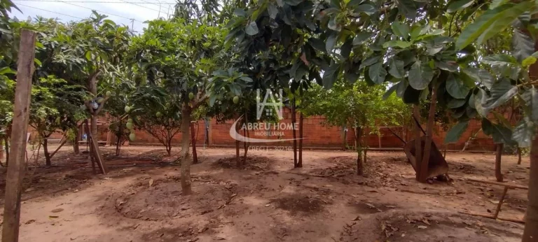 Imagem Terreno à Venda - São José do Rio Preto