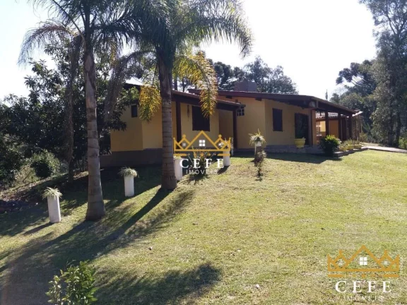 Imagem Chácara - Sítio com 2 Dormitorio(s) localizado(a) no bairro Padre Eterno Baixo em Santa Maria do Herval / RIO GRANDE DO SUL Ref.:1425