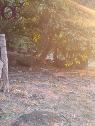 Imagem Oportunidade de terreno no Cafezal VI - 1000m² - Itupeva/SP