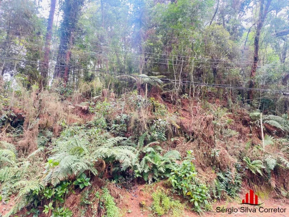 Imagem Terreno a Venda na Região do Vila Inglesa Campos do Jordão- SP.