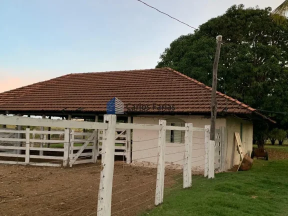 Imagem Fazenda para Venda em Mimoso de Goiás, MIMOSO GOÍAS, 6 dormitórios, 4 suítes, 5 banheiros, 4 vagas