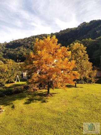Imagem Sítio com 4 quartos, 6,3 ha, à venda em Morro Reuter - RS