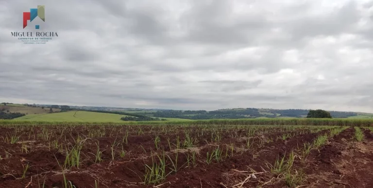 Imagem Fazenda região de Tatuí SP