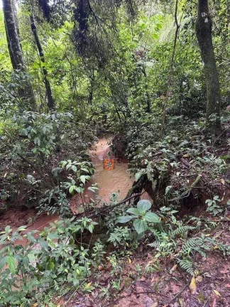 Imagem Terreno à venda, 20000 m² por R$ 400.000,00 - São Mateus - Camanducaia/MG